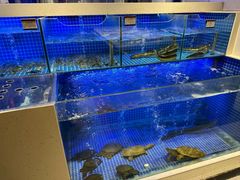 -明州小宴(文化广场店)