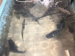 -桃园美食(水库路店)