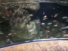 -大连圣亚海洋世界