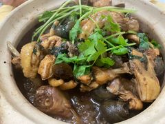 田螺焖鸡-棠记大排档(海珠店)