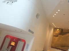 -深圳东部华侨城瀑布酒店