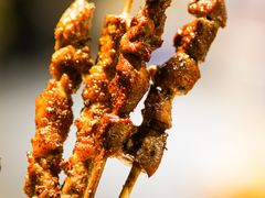 -鹤之乡·齐齐哈尔烤肉·非遗(秋涛路店)