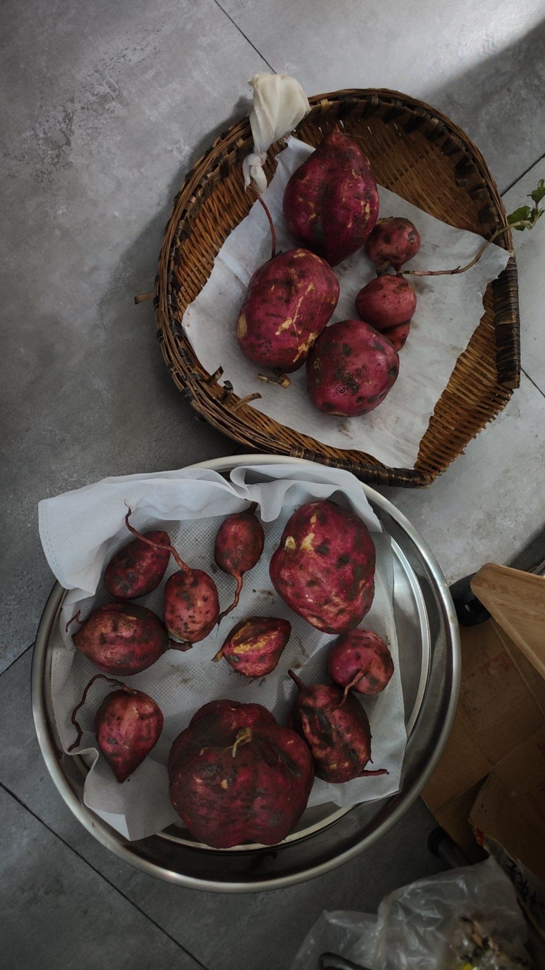 6839公斤！改写六师棉花单产纪录