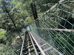 -梦幻奥陶纪景区