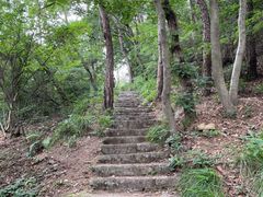 -青龙山国家森林公园