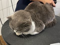 -拜鲁耶动物诊疗中心·宠家动物医院