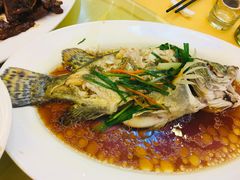 -山明水秀大饭店