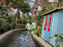 -南宫五洲植物乐园