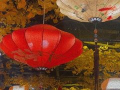 -庭院小酌(瑞莲街店)