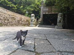 -普陀山风景区-佛顶山