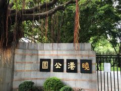 -晓港公园
