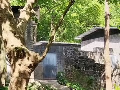 -都江堰中华大熊猫苑