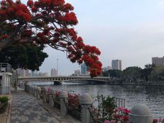 -高雄爱河