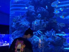 -成都浩海立方海洋公园