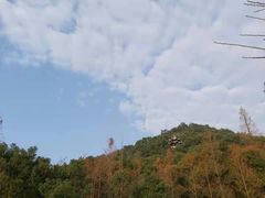 -宁波市保国寺古建筑博物馆