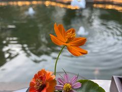 -广富林宰相府酒店·水云间