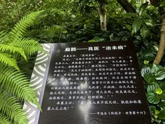 -广州神农草堂中医药博物馆
