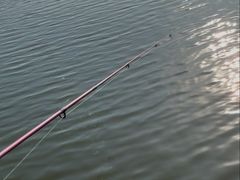 -天津金海湖
