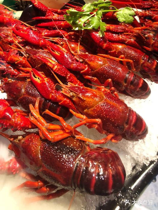 龙虾风暴(田林路店)冰镇龙虾图片 - 第26张