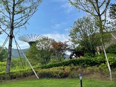 -莫干山郡安里度假酒店-桃尖中餐厅