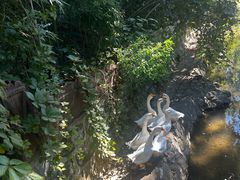 -丽泽山庄·生态怀柔菜·虹鳟鱼(红螺寺店)