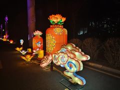 -丁香湖公园