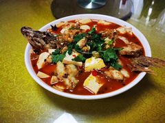 -煲来饱去冷水鱼