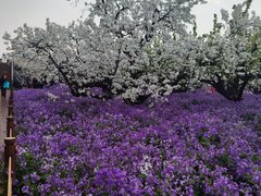 -江苏三台山国家森林公园