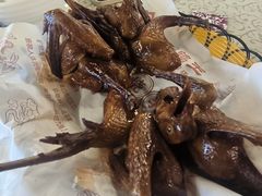 -百利鸽王(紫薇路店)