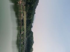 -东莞植物园