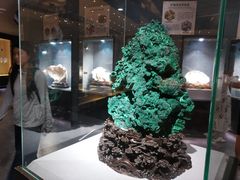 -河南自然博物馆