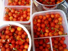 -稻香餐厅中餐干锅(劼人路店)