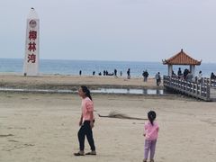 -东郊椰林