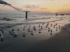 -老虎石海上公园