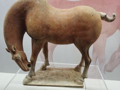 -衢州市博物馆