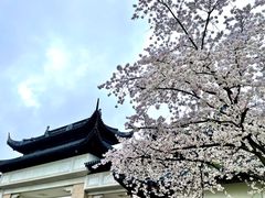 -苏州上方山国家森林公园
