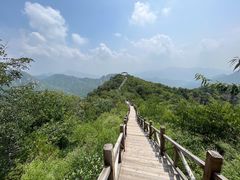 -大岭沟猕猴桃谷风景区