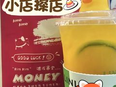 -大屏嶂森林公园