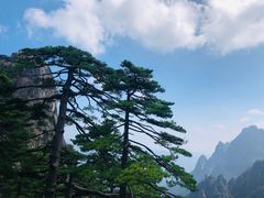 -黄山风景区