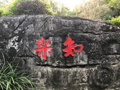 -深圳国际园林花卉博览园