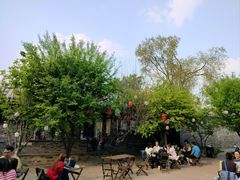 -春风习习