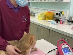 -北京观赏动物医院·24小时大型综合·猫专科·异宠专科