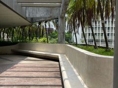 -香港大学