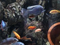 -太平洋海底世界