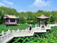 -纪晓岚文化园
