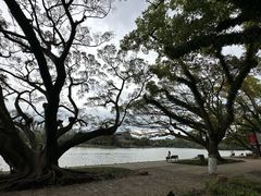 -江心屿景区