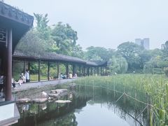 -日出青木