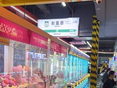 -天天玩X秋葉原日系动漫游戏中心