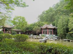 -顺峰山公园