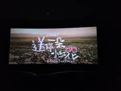 -幸福蓝海国际影城(上海三林店)